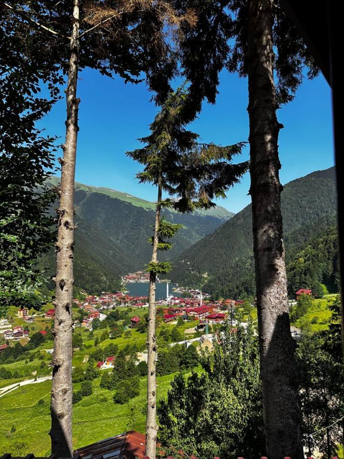 Aparthotel Maneviga Cafe & Apart Uzungöl Exterior foto